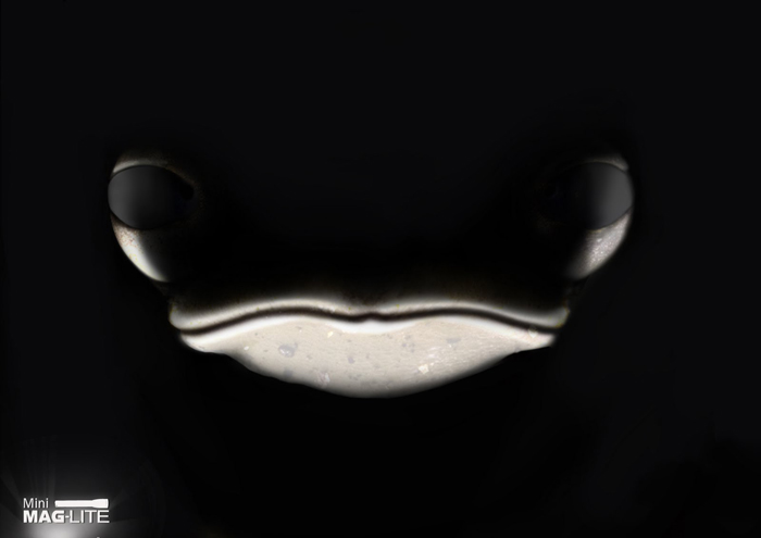 Mini Maglite / Sapo