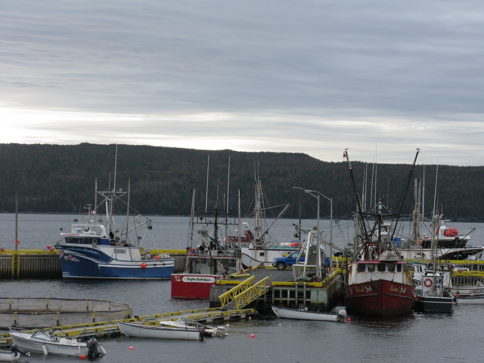 C2C Baccalieu Trail Newfoundland