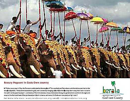 [beautypeagenttrchrprm.JPG]