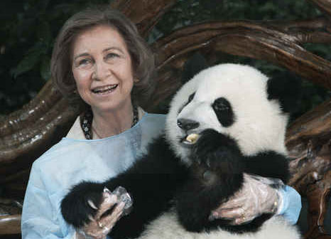 [panda.jpg]