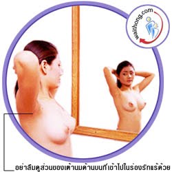 [mirror_raise_both.jpeg]