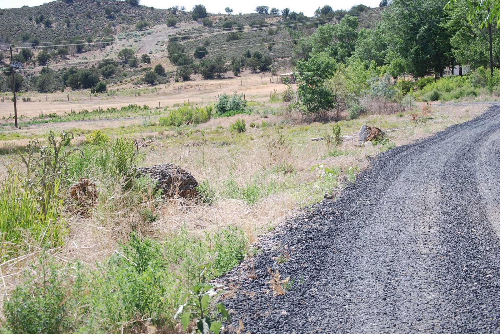 DIAMOND VALLEY GUEST RANCH....... FOR SALE (ALL OR PART)