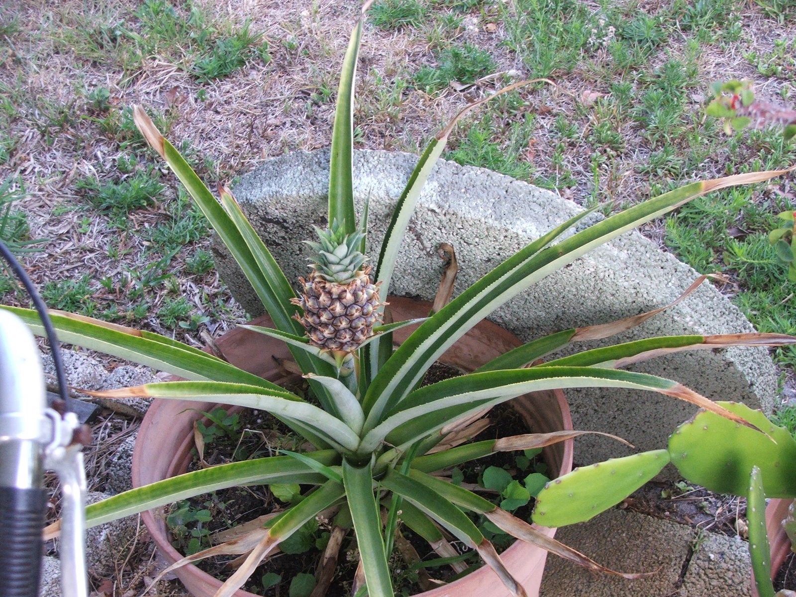 [DSCF6933.JPG]