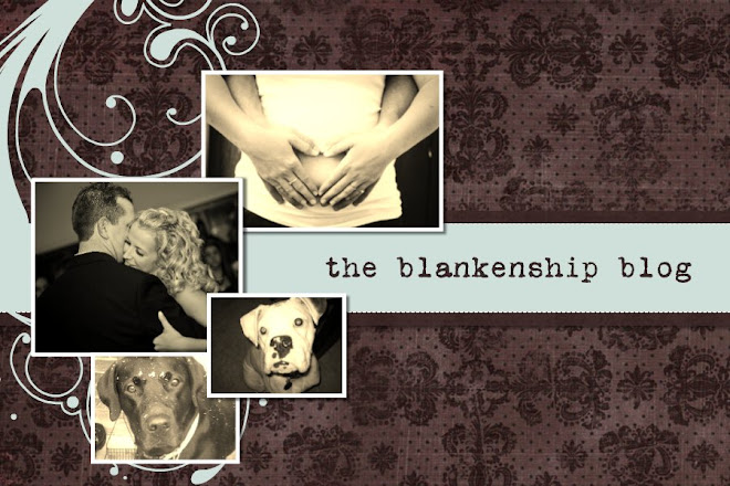 the Blankenship Blog