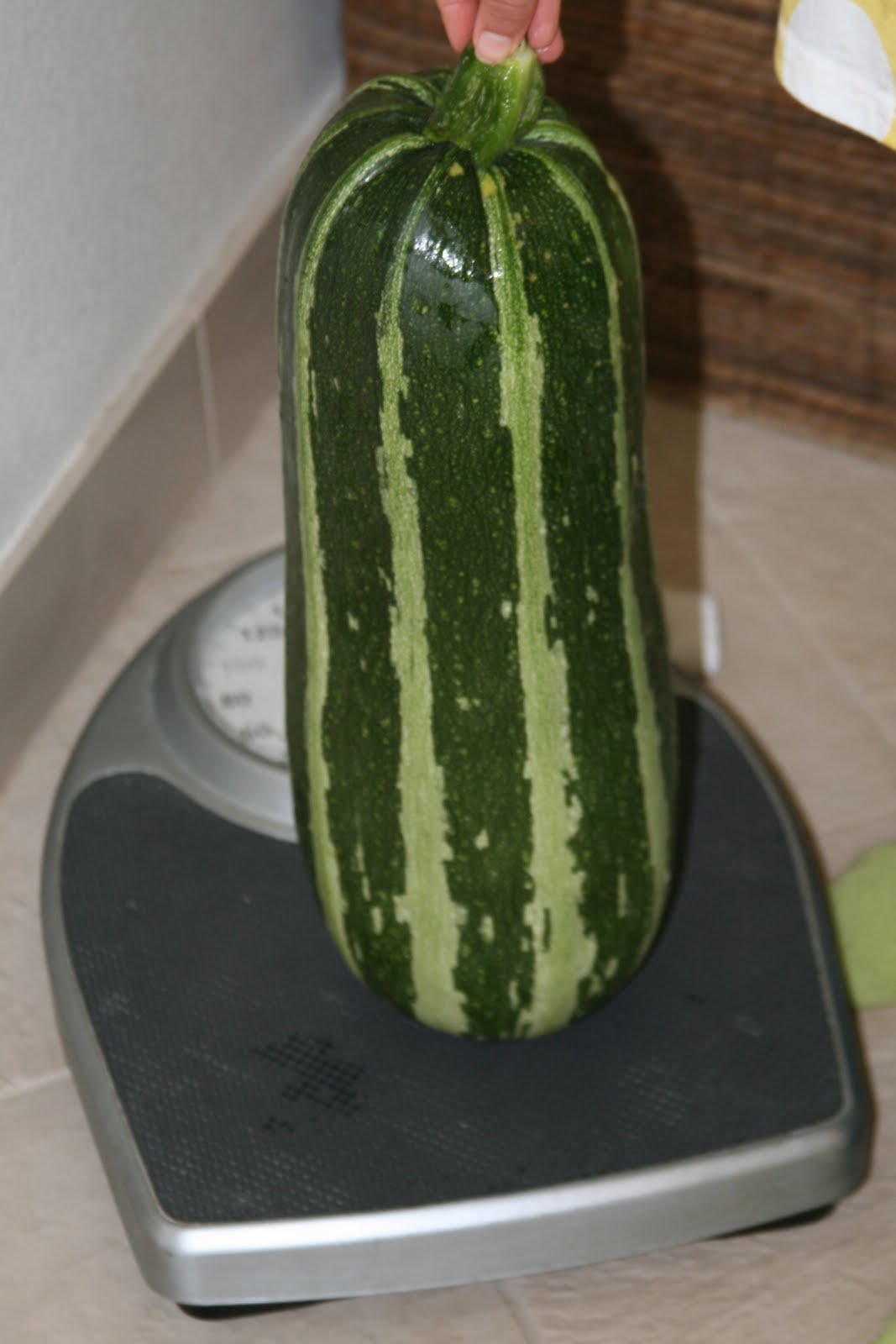 [IMG_7245.JPG]