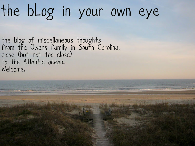 The bLog in Your Own Eye