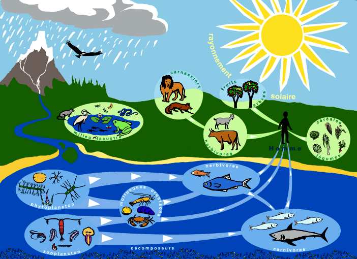 [biodiversidade5.jpg]