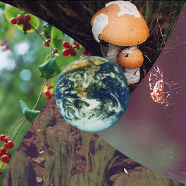 bioprospección vs biopiratería bio vs resume