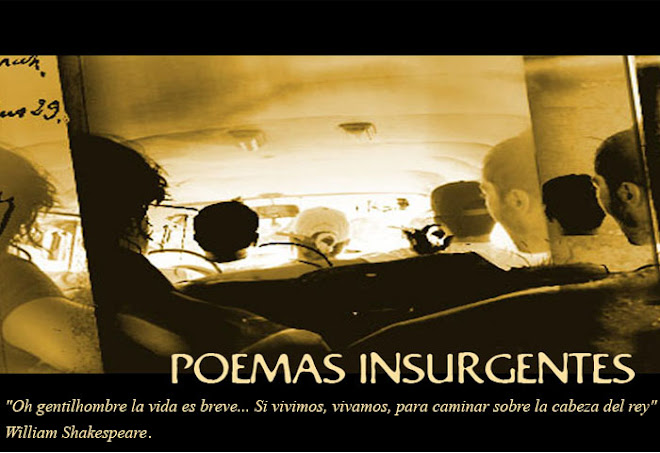 poemasinsurgentes