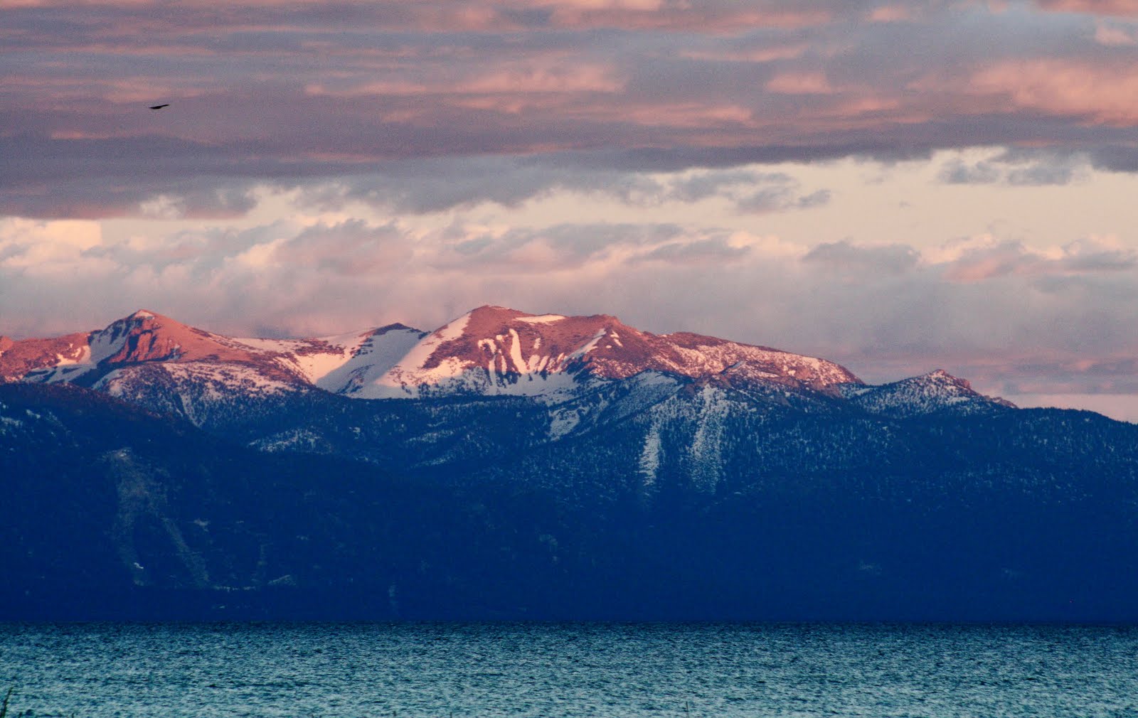 Mya Clicks 800 PM Tahoe Vista. The first of many in which I bore you with Tahoe's natural beauty