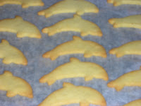 DSCN4106.JPG