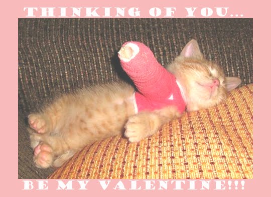 [baby+kitty+arm+pink.jpg]