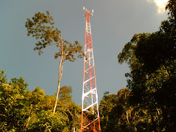 Tower
