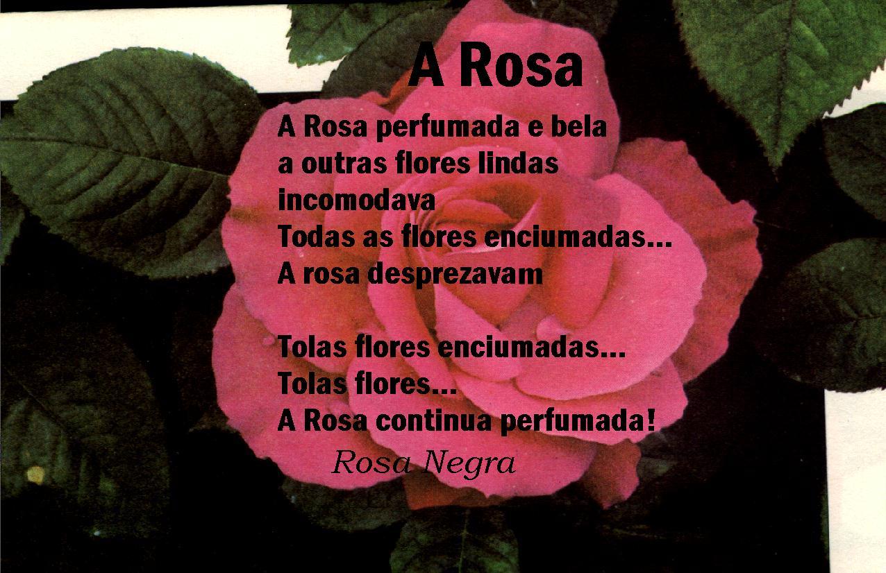Poens Rosa POETAS DEL MUNDO MG EM POESIA
