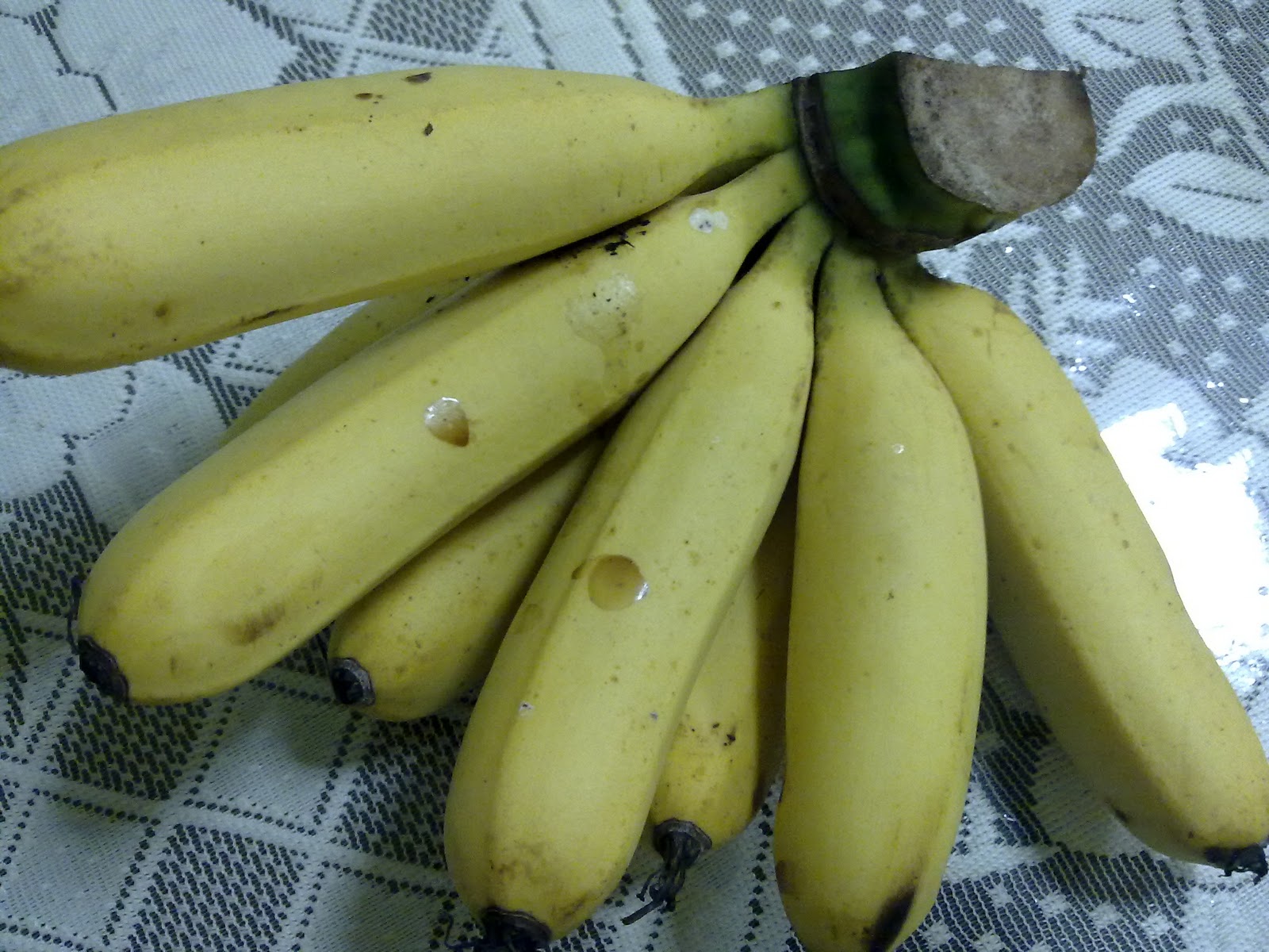 anita fauzie khasiat pisang berangan  