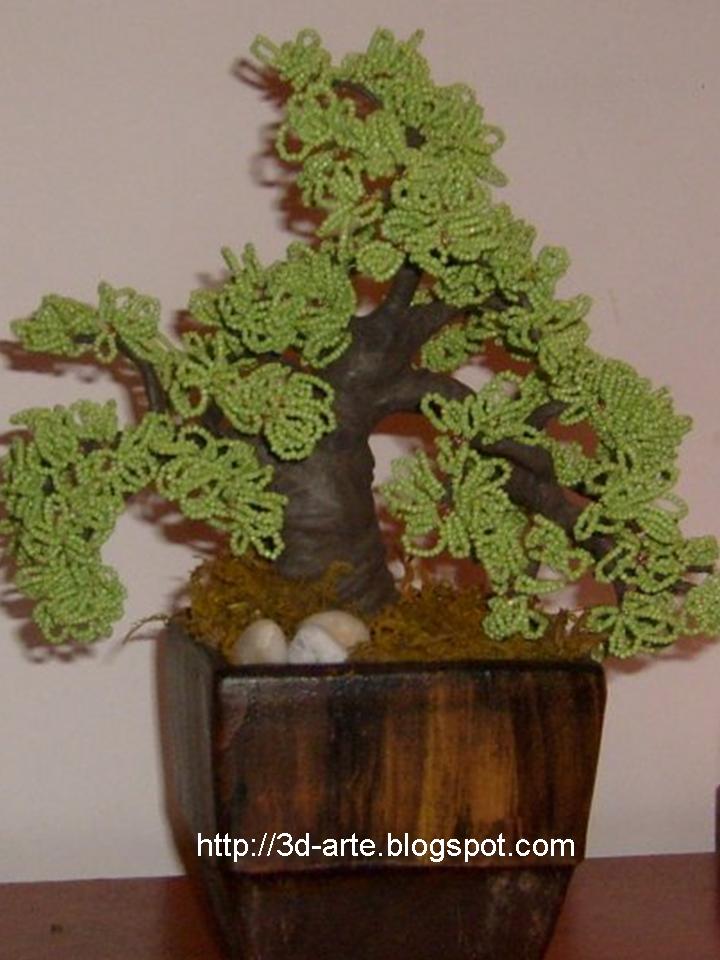 [bonsai+verde+1º.jpg]