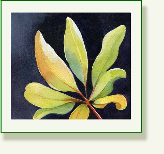 [leaf2.jpg]