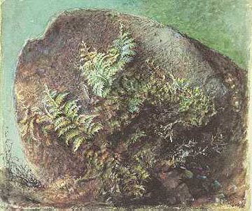[ruskin+ferns+1875.jpg]
