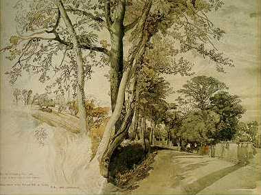 [ruskin+trees+1847.jpg]