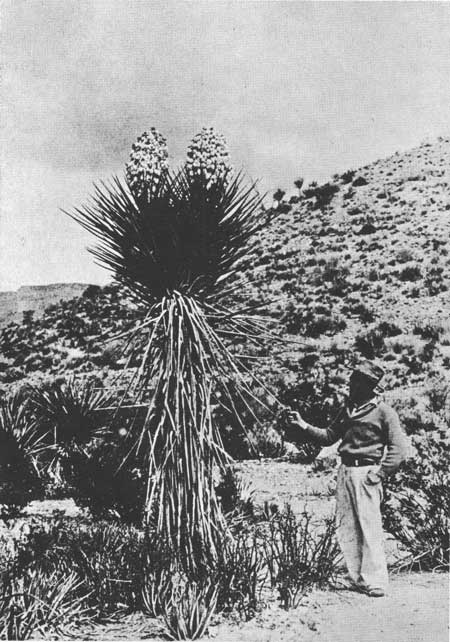 [fig106.jpg]