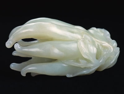 [buddhas-hand_fs.jpg]