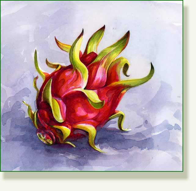 [dragonfruit+painting.jpg]