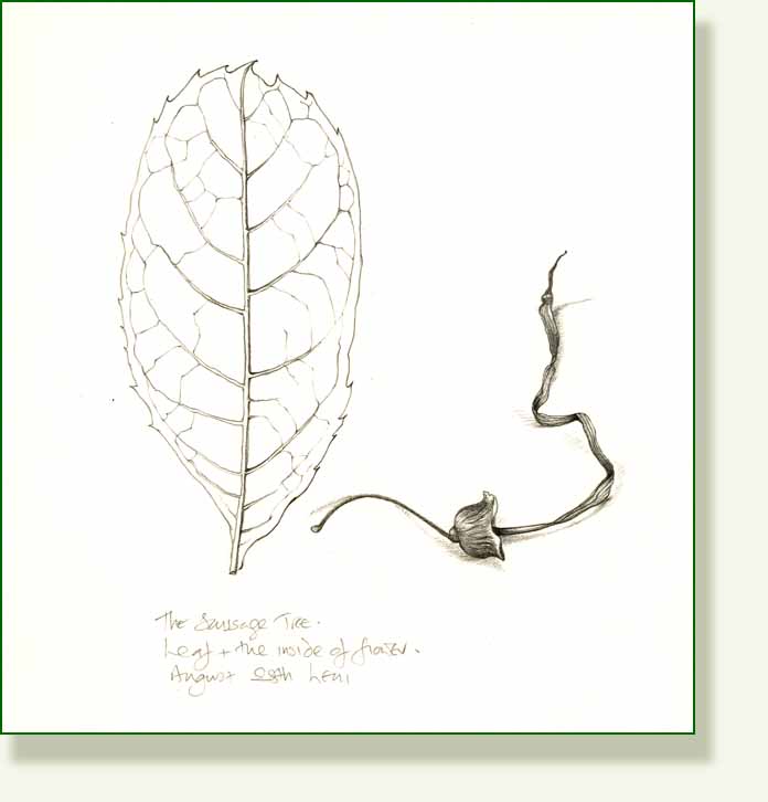 [sausage+tree+leaf.jpg]