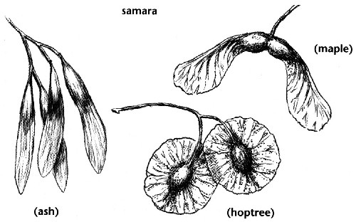 [f0221.jpg]