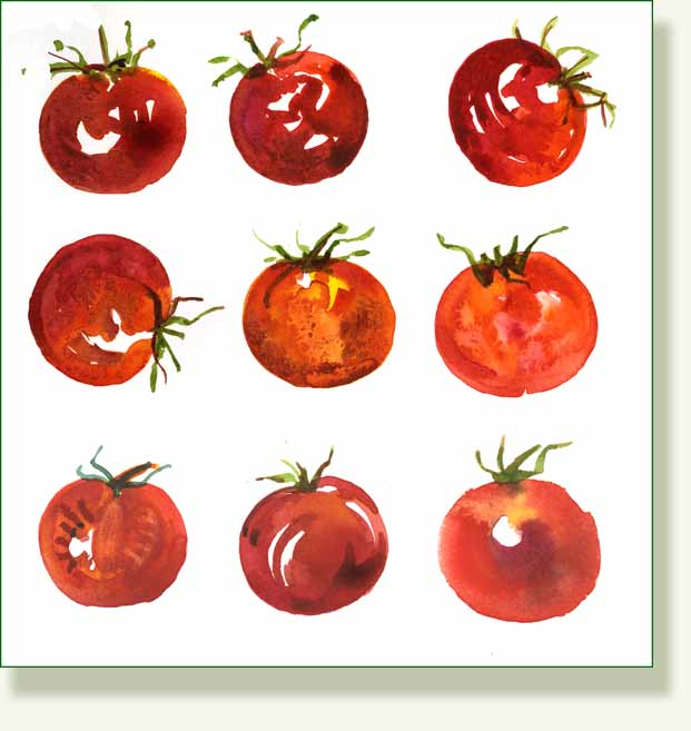 [9tomatoes.jpg]
