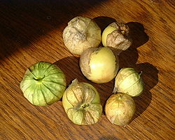 [250px-Tomatillo.jpg]