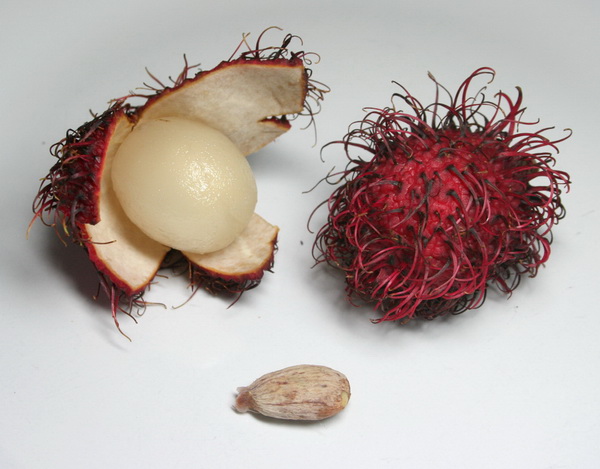 [my+rambutans.jpg]