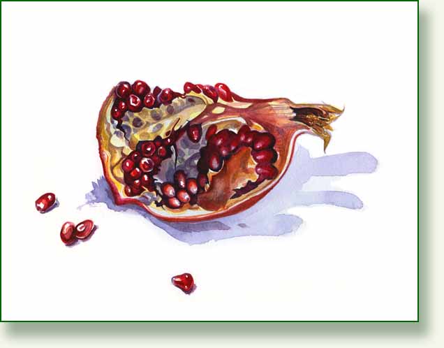 [pomegranate+large+colour.jpg]