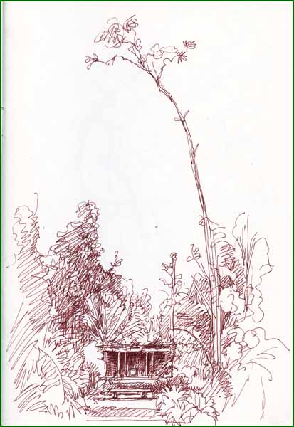 [pavillion1.jpg]