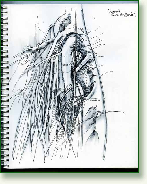 [snakewood+roots+pen.jpg]
