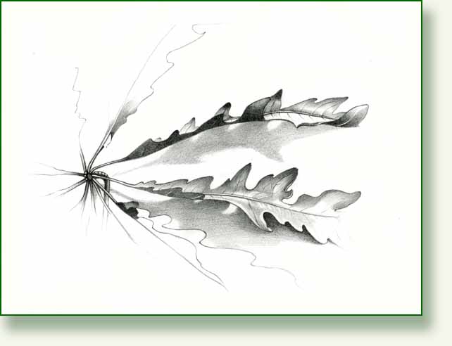 [big+leaf+detail.jpg]