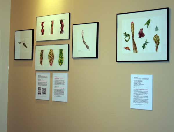 [leaves+and+crotons.jpg]