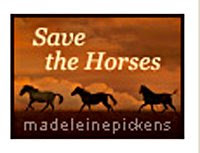 Save The Wild Horses