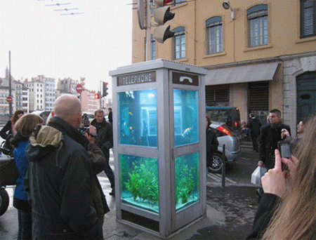 aquarium-phone-booth.jpg (450×342)