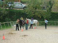 ACTIVITATS DEL CDIAPB