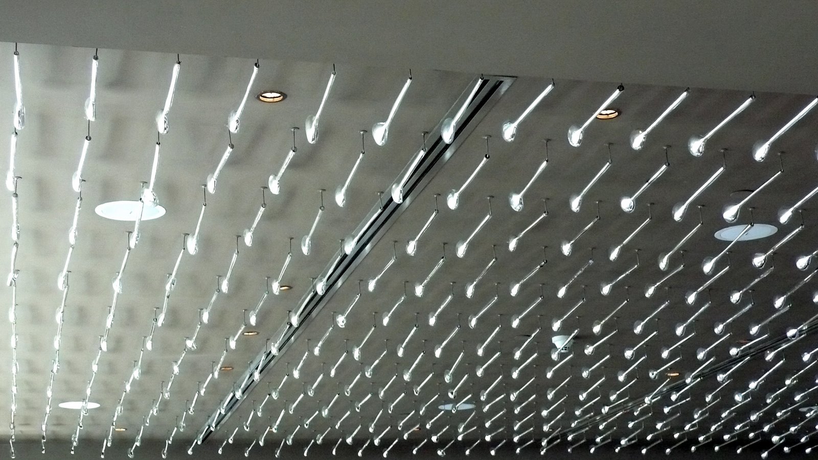 [P1010582.jpg]