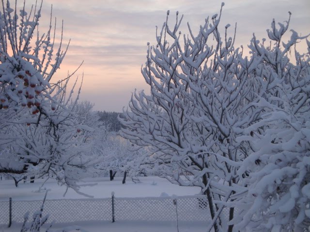 [vinter+o+jul+2009+053.JPG]
