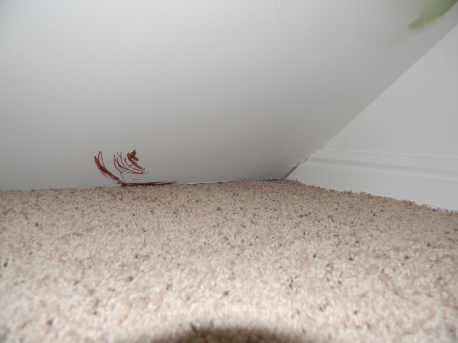 Our Life... Dry Erase Marker...