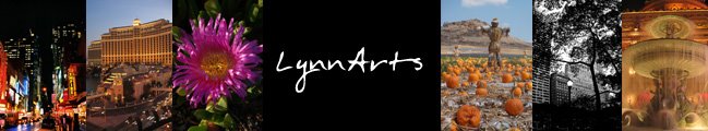 LynnArts
