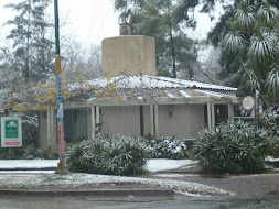 Nieve en Villa Udaondo 2007