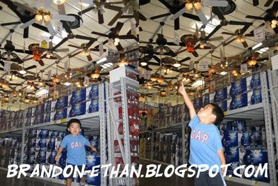 Home Improvement Stores