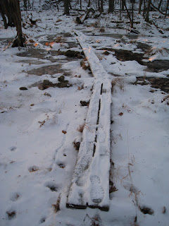 Hemlock Trail through bog