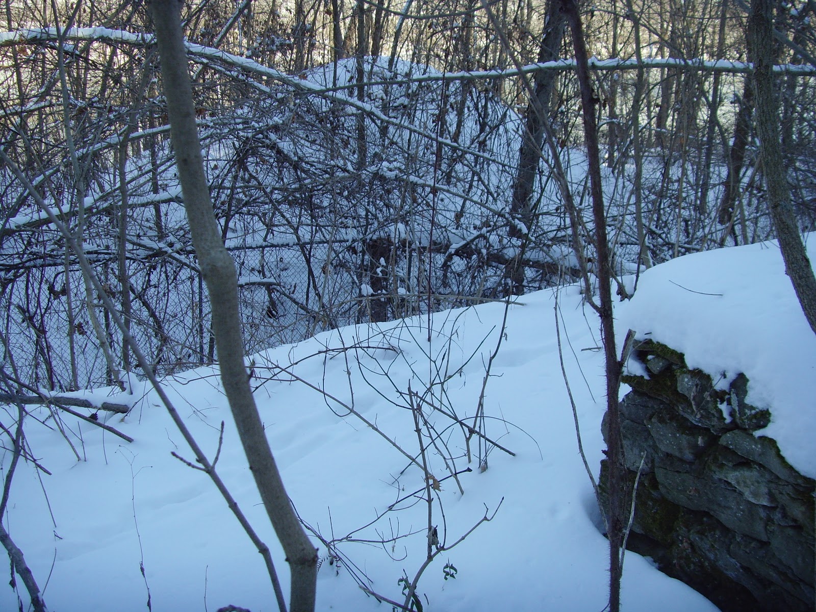 SWPA Rural Exploration A winter walk down the Rices Landing, PA rails