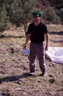 Volleyball Women In Cameltoe