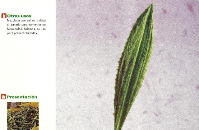 Botiquín Natural: Huamanripa