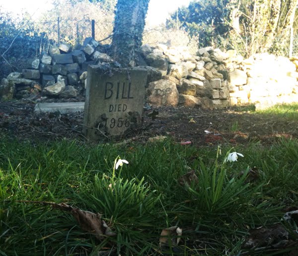 [1.Spring-is-coming.jpg]